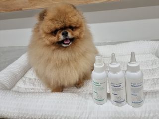[댕모어 클리너 3종] 아이클리너 / 이어클리너 / 덴탈클리너 3종 세트 (120ml) — 5점을 준 리뷰어가 2023년 9월 올린 사용 사진