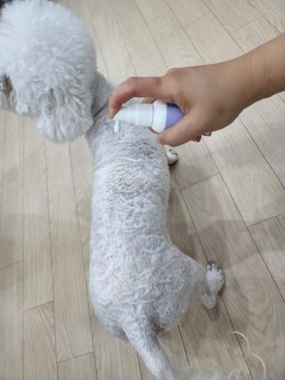 @,@님이 올린 리뷰 사진 2