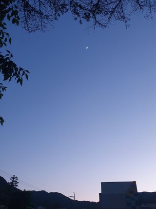 0.8L 마케팅팀 - — 5점을 준 리뷰어가 2021년 5월 올린 사용 사진