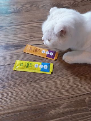 페페로니 맛있는 스틱 - 무항생제 닭고기 15개 + 원양선 참치 15개 — 5점을 준 리뷰어가 2021년 8월 올린 사용 사진