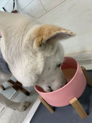 나래님이 올린 리뷰 사진 3