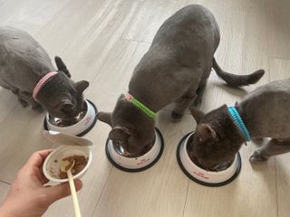 여온님이 올린 리뷰 사진 1