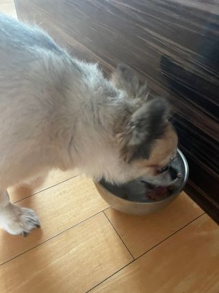 uc9v0shedk님이 올린 리뷰 사진 4