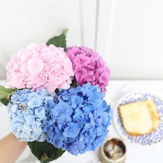 먹방꿈나무님이 올린 리뷰 사진 2