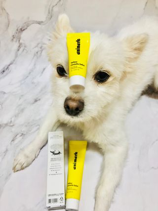 Lily님이 올린 리뷰 사진 2