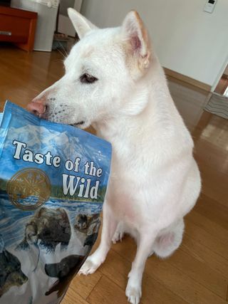 스쿰비님이 올린 리뷰 사진 1