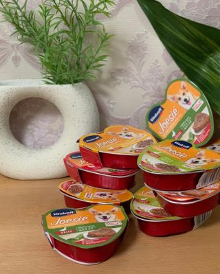 비타크래프트 조에시 하트캔 85g 강아지 습식캔 10캔 — 5점을 준 리뷰어가 2021년 7월 올린 사용 사진