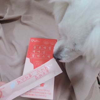 슝늉님이 올린 리뷰 사진 2