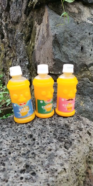 탐라원 제주의 맛, 몬딱주스 4종세트 - 한라봉몬딱주스, 천혜향몬딱주스, 청귤에이드, 당근몬딱주스 — 5점을 준 리뷰어가 2021년 8월 올린 사용 사진