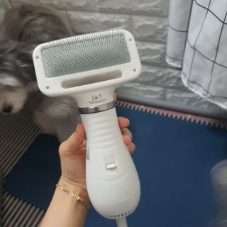 아베크 펫 강아지 고양이 애견 에어 브러쉬 드라이기 올인원 — 5점을 준 리뷰어가 2021년 7월 올린 사용 사진
