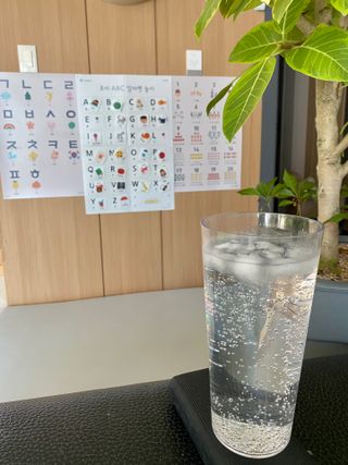 몽베스트 Montbest with Sparkling water Lemon OR Lime 20병(랜덤) — 5점을 준 리뷰어가 2021년 10월 올린 사용 사진