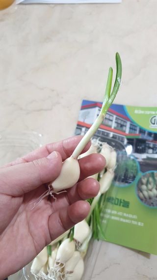 에스더킴님이 올린 리뷰 사진 4