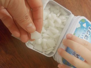 [아이스칩스] 무설탕 비건 자일리톨 캔디 7종 2개기준 — 5점을 준 리뷰어가 2021년 6월 올린 사용 사진