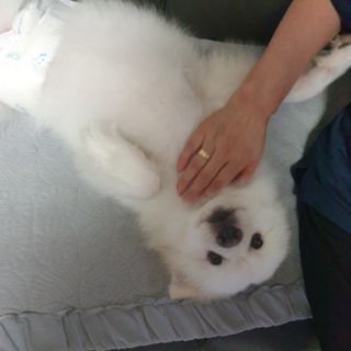 KyungEunMin님이 올린 리뷰 사진 3