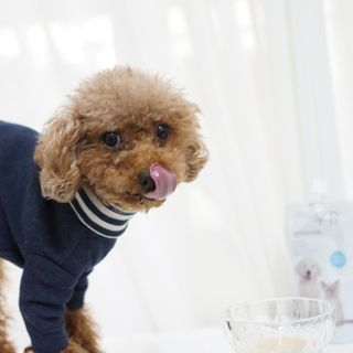 꽃양뿌니님이 올린 리뷰 사진 3