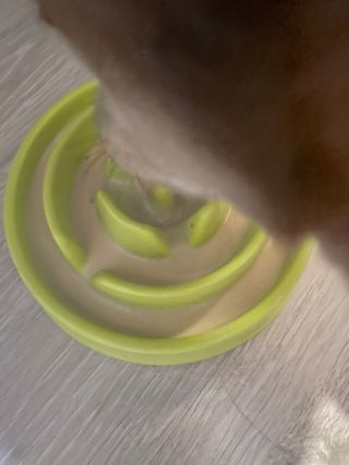 달콤쌉쌀쇼콜라님이 올린 리뷰 사진 3