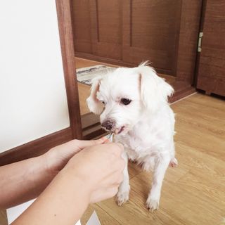 여늬님이 올린 리뷰 사진 2