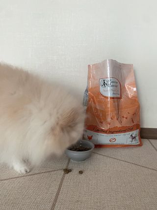캐닌캐비어 알카라인 홀리스틱 그레이프리 앙뜨레 ALS_4종 오픈스카이, 와일드오션, 프리스피릿, 스페셜니즈 — 5점을 준 리뷰어가 2023년 3월 올린 사용 사진