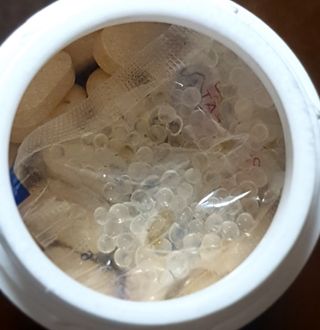 프리마인 평생 써야하는 관절의 건강을 위한 완벽설계 솔루션 관절n마디케어 플러스 120정 — 4점을 준 리뷰어가 2021년 10월 올린 사용 사진