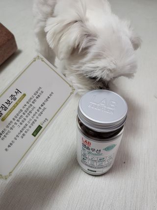 뽀오오옹님이 올린 리뷰 사진 3