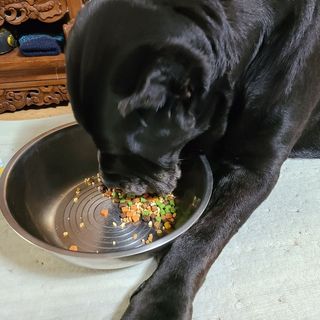 기린짱맘님이 올린 리뷰 사진 3