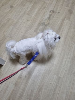삼듕맘님이 올린 리뷰 사진 2