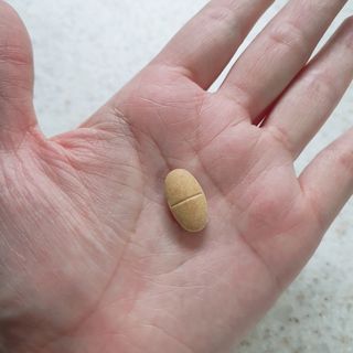 서울약사신협 간건강 실리마린 밀크씨슬 800mg, 60정 — 4점을 준 리뷰어가 2021년 10월 올린 사용 사진