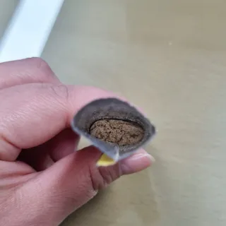 목 넘김이 편한 곡물발효효소 웰테므 효소라인 — 5점을 준 리뷰어가 2023년 2월 올린 사용 사진