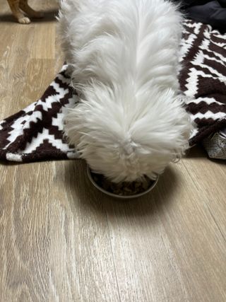 이아님이 올린 리뷰 사진 3