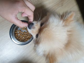 맹고님이 올린 리뷰 사진 3