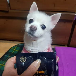 바나나님이 올린 리뷰 사진 2