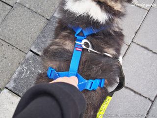 러블리유린님이 올린 리뷰 사진 3