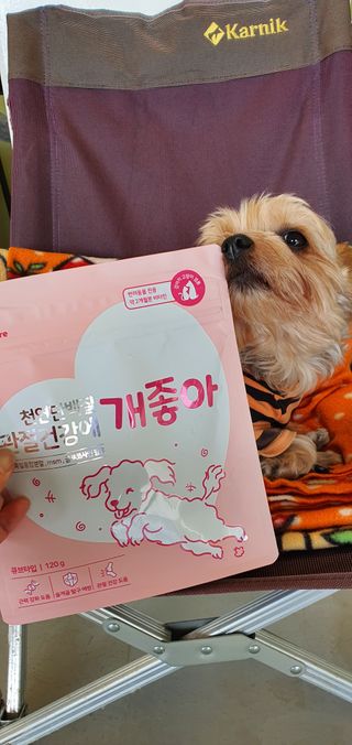 My Pet Care 천연단백질 관절건강에 개좋아 — 5점을 준 리뷰어가 2021년 2월 올린 사용 사진