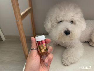 무지조타 반려동물용 꽃으로만든영양제 헬리코디펜스 15ml — 4점을 준 리뷰어가 2021년 8월 올린 사용 사진