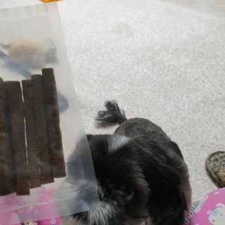 My Pet Care 천연단백질 치아건강에 개좋아 — 5점을 준 리뷰어가 2021년 1월 올린 사용 사진