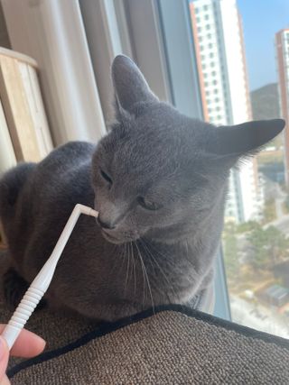여온님이 올린 리뷰 사진 3