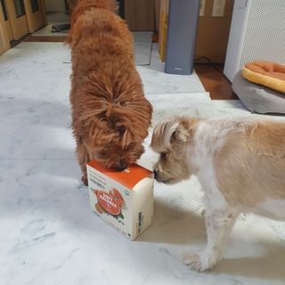 포비맘님이 올린 리뷰 사진 3