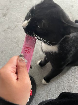 순이츠님이 올린 리뷰 사진 1