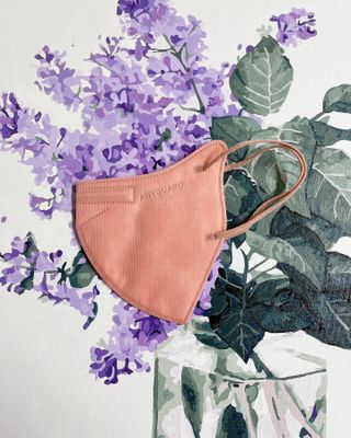 애니가드 셋업마스크 4컬러 각 10매입 [크리미베이지, 캐시미어로즈, 초콜렛브라운, 미드나잇네이비] — 5점을 준 리뷰어가 2022년 2월 올린 사용 사진