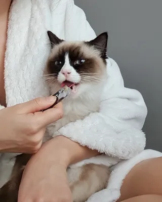 흥나니🐯🎵님이 올린 리뷰 사진 3