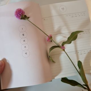 신현미님이 올린 리뷰 사진 1