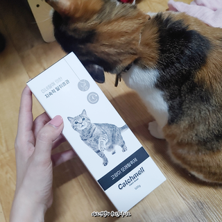 매드엔젤님이 올린 리뷰 사진 2
