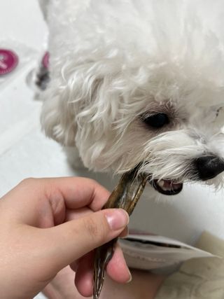 린짱님이 올린 리뷰 사진 3