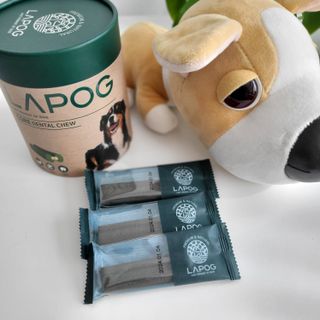 영이님이 올린 리뷰 사진 2