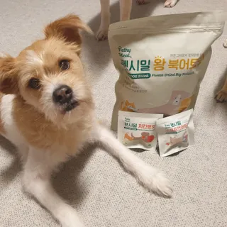 [펫시밀] 원물그대로 영양듬뿍 동결건조 왕북어트릿300g,왕치킨트릿400g,열빙어트릿300g 대용량 간식 — 5점을 준 리뷰어가 2023년 5월 올린 사용 사진