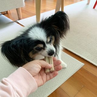 HaejinSeung님이 올린 리뷰 사진 2