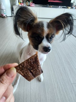 얌얌이님이 올린 리뷰 사진 4