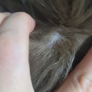 나초단맘님이 올린 리뷰 사진 3