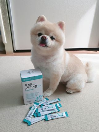 프리마인 유산균 국가지정연구소 선정, 살아있는 생유산균 200억 마리의 힘. 유산균n굿바이옴플러스 — 5점을 준 리뷰어가 2021년 9월 올린 사용 사진