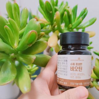 우기기우기님이 올린 리뷰 사진 1